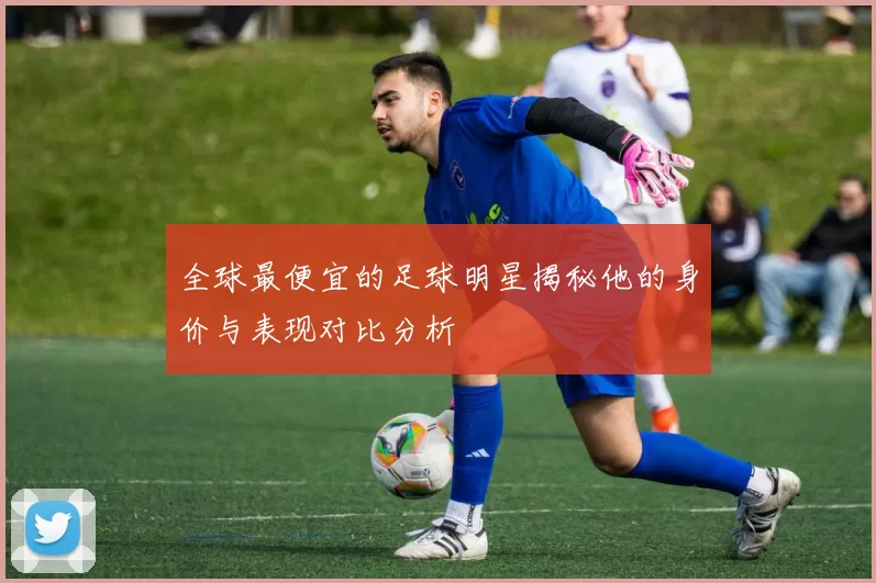 全球最便宜的足球明星揭秘他的身价与表现对比分析