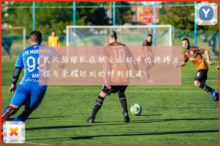 武汉排球队在联合会杯中的拼搏历程与荣耀时刻的特别报道