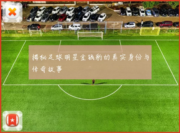 揭秘足球明星金钱豹的真实身份与传奇故事