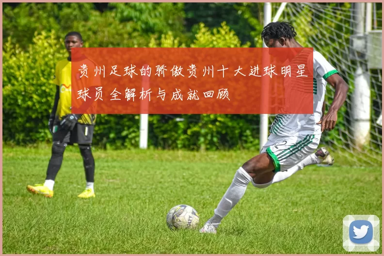 贵州足球的骄傲贵州十大进球明星球员全解析与成就回顾