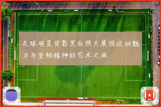 足球明星背影黑白照片展现运动魅力与坚韧精神的艺术之旅