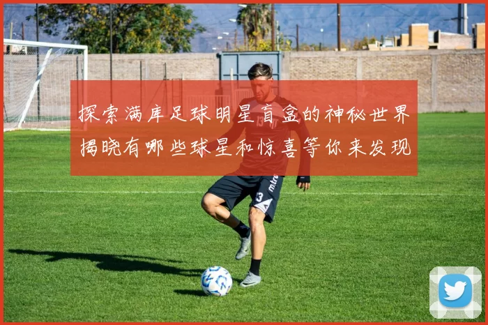 探索满库足球明星盲盒的神秘世界揭晓有哪些球星和惊喜等你来发现