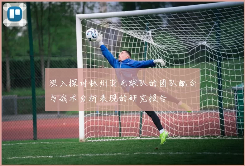 深入探讨杭州羽毛球队的团队配合与战术分析表现的研究报告
