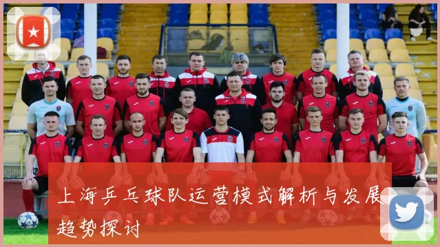 上海乒乓球队运营模式解析与发展趋势探讨