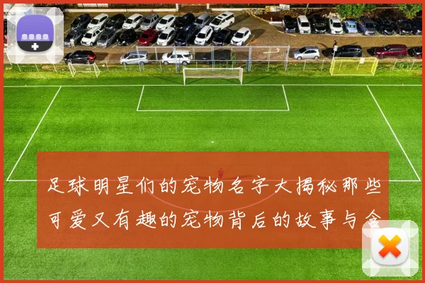 足球明星们的宠物名字大揭秘那些可爱又有趣的宠物背后的故事与含义
