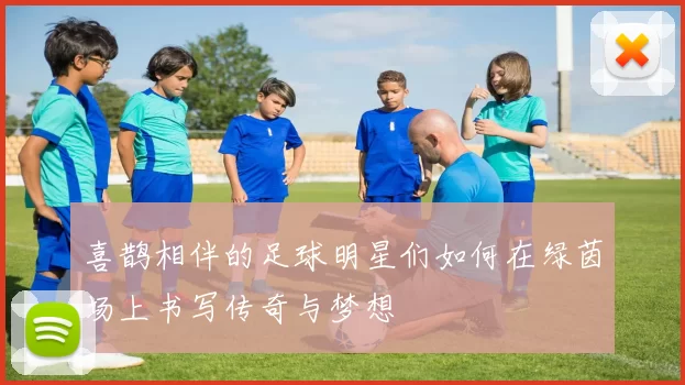 喜鹊相伴的足球明星们如何在绿茵场上书写传奇与梦想