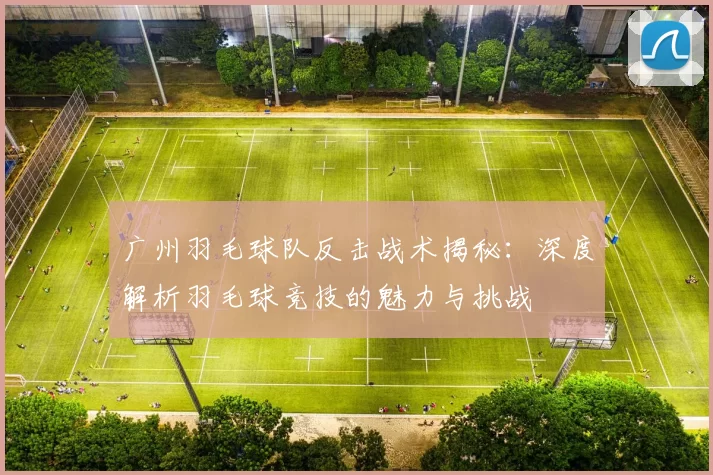 广州羽毛球队反击战术揭秘：深度解析羽毛球竞技的魅力与挑战