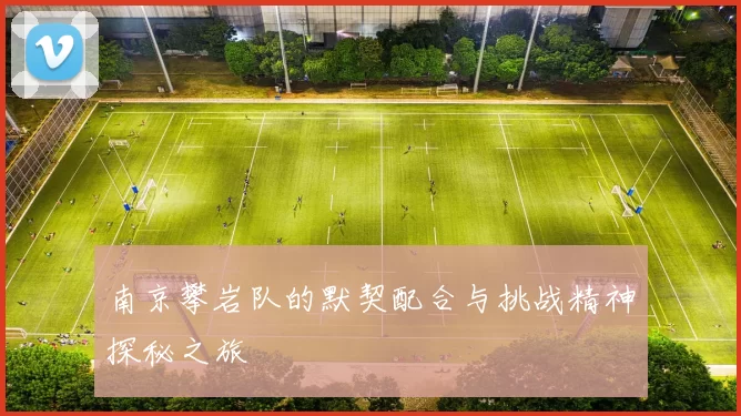 南京攀岩队的默契配合与挑战精神探秘之旅