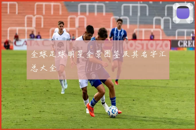 全球足球明星全景图鉴及其名字汇总大全