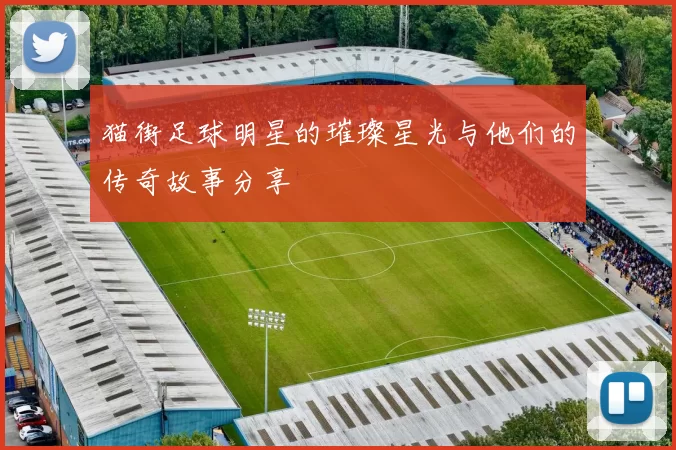 猫街足球明星的璀璨星光与他们的传奇故事分享