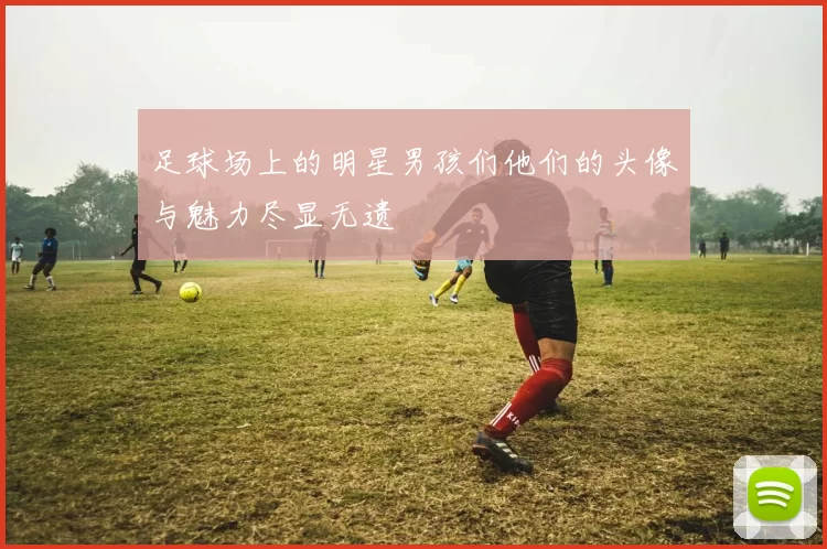 足球场上的明星男孩们他们的头像与魅力尽显无遗