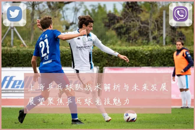 上海乒乓球队战术解析与未来发展展望聚焦乒乓球竞技魅力