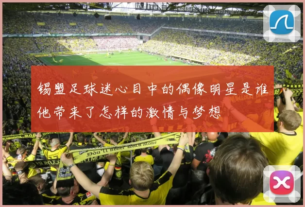 锡盟足球迷心目中的偶像明星是谁他带来了怎样的激情与梦想