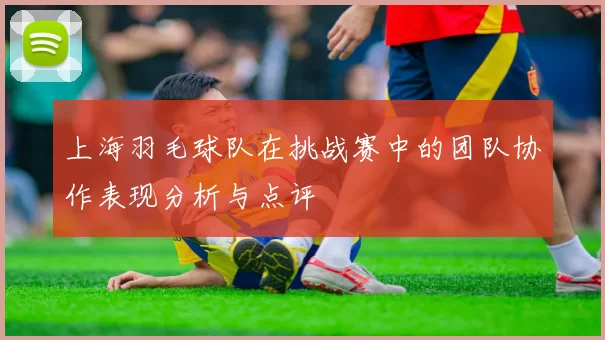上海羽毛球队在挑战赛中的团队协作表现分析与点评