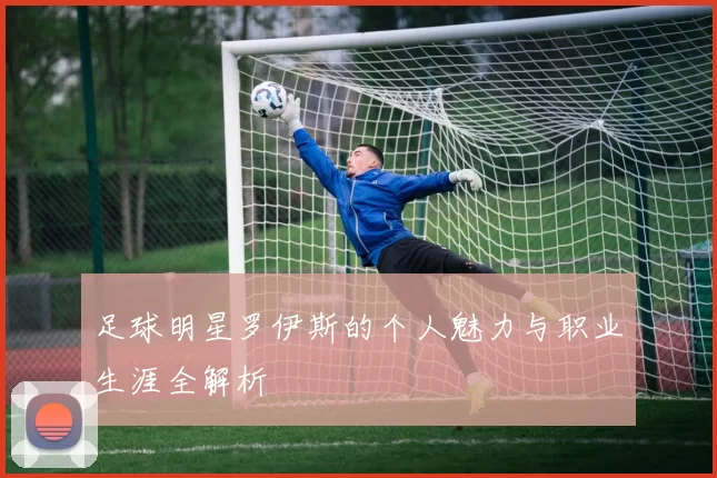 足球明星罗伊斯的个人魅力与职业生涯全解析