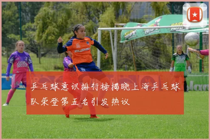 乒乓球意识排行榜揭晓上海乒乓球队荣登第五名引发热议