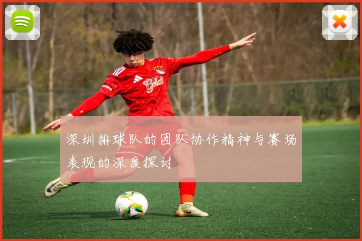 深圳排球队的团队协作精神与赛场表现的深度探讨