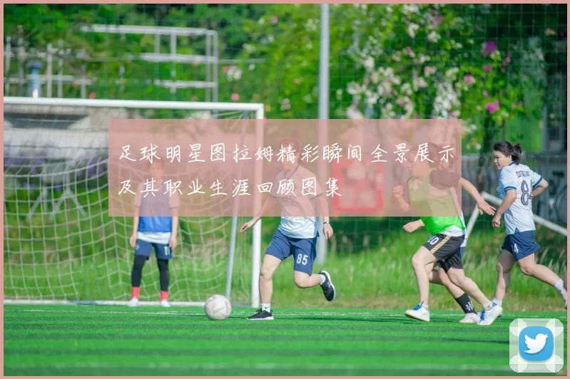 足球明星图拉姆精彩瞬间全景展示及其职业生涯回顾图集