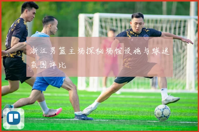 浙江男篮主场探秘场馆设施与球迷氛围评比