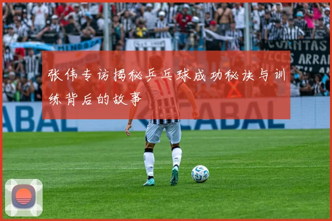张伟专访揭秘乒乓球成功秘诀与训练背后的故事