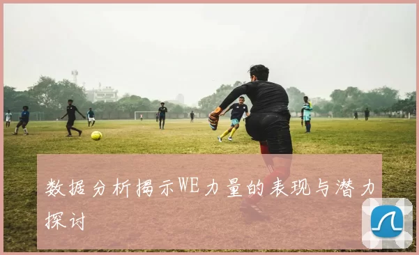 数据分析揭示WE力量的表现与潜力探讨