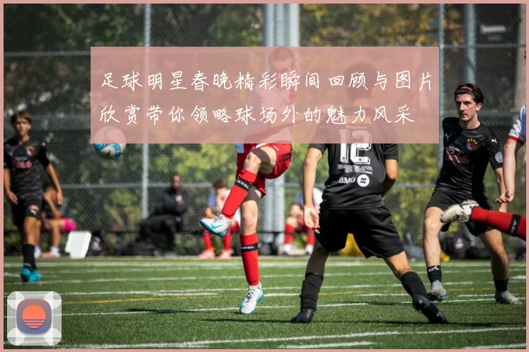 足球明星春晚精彩瞬间回顾与图片欣赏带你领略球场外的魅力风采